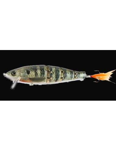 Highsider Jr. color Real Gill