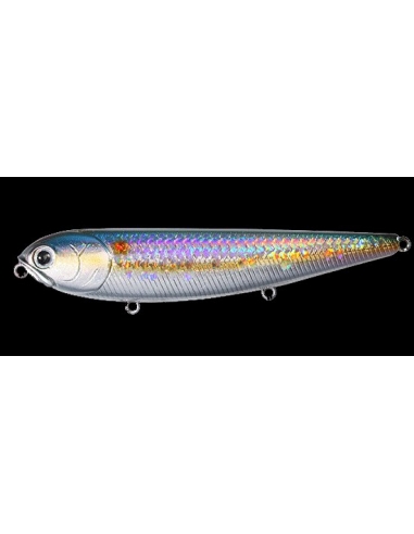 Sammy 105 MS American Shad