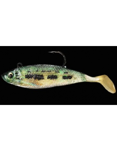 WildEye Swim Shad 3" (75mm) color BB